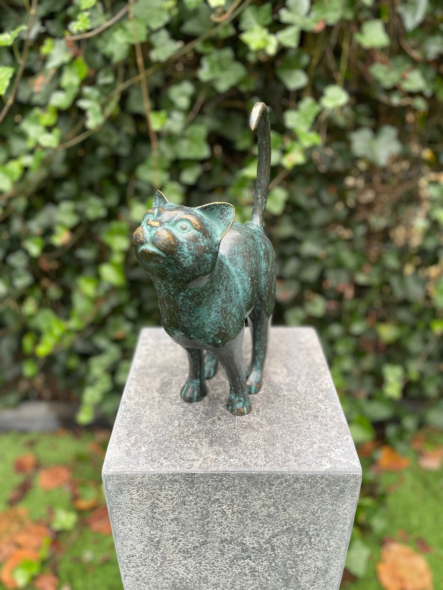 Upward Gaze Cat – Bronze Sculpture. 24x8x31cm