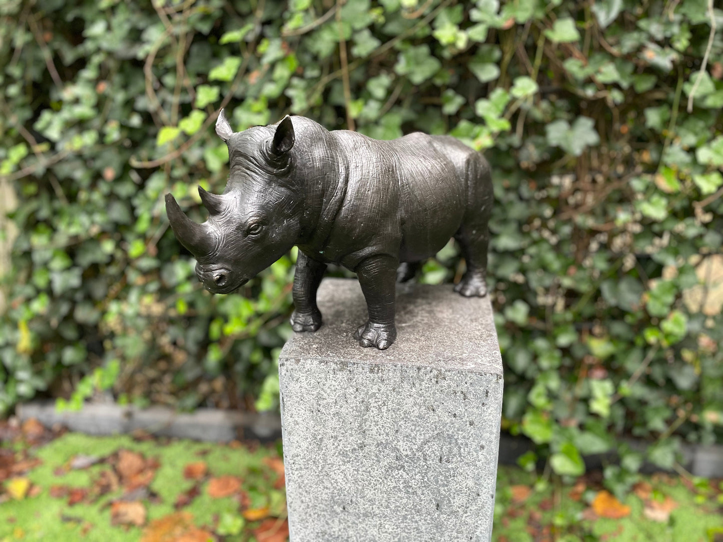 Powerful Rhino – Bronze Sculpture. 51x16x27cm - 8.7Kg