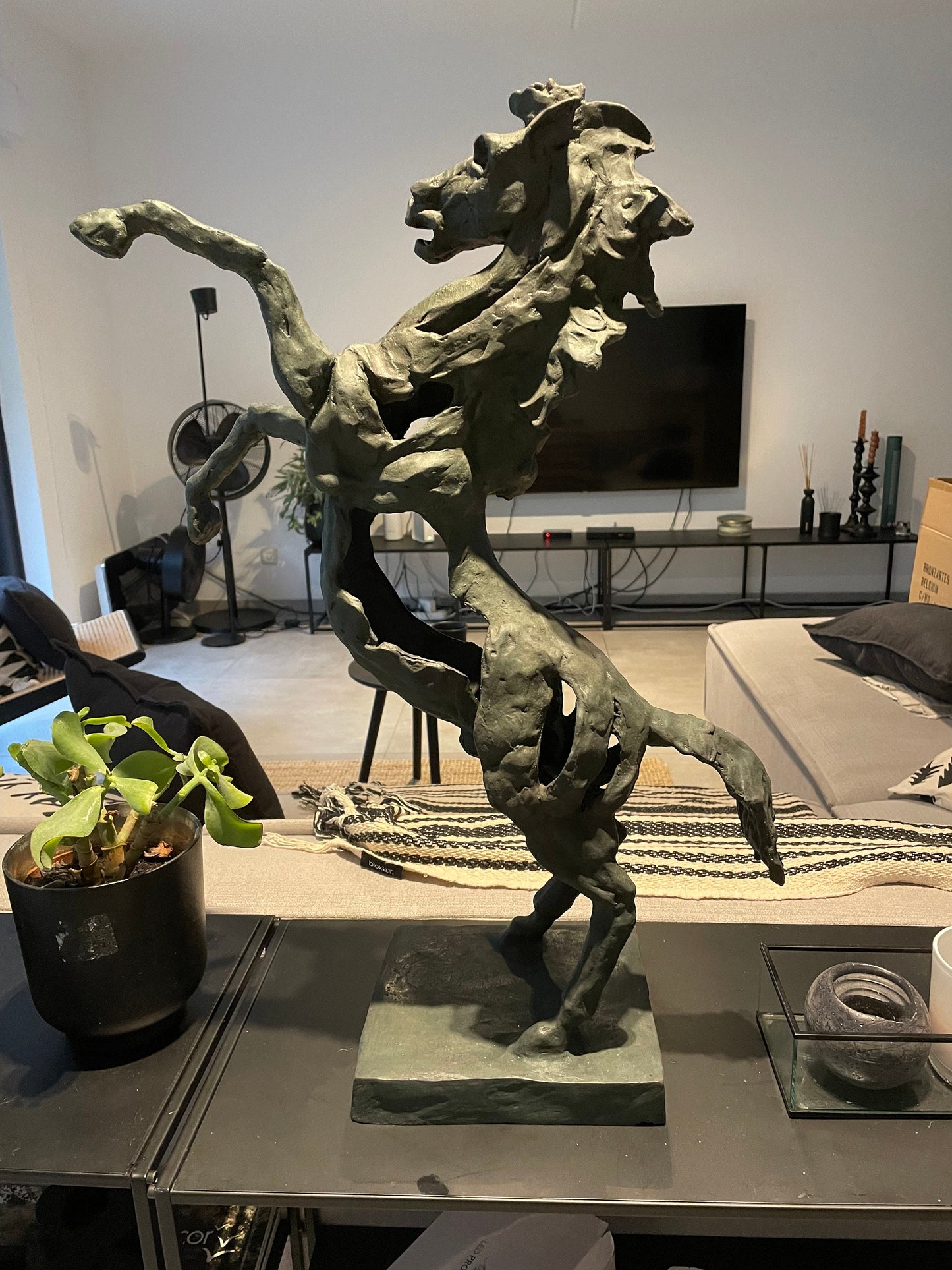 Rearing Horse – Bronze Sculpture. 64x49x18cm - 5Kg