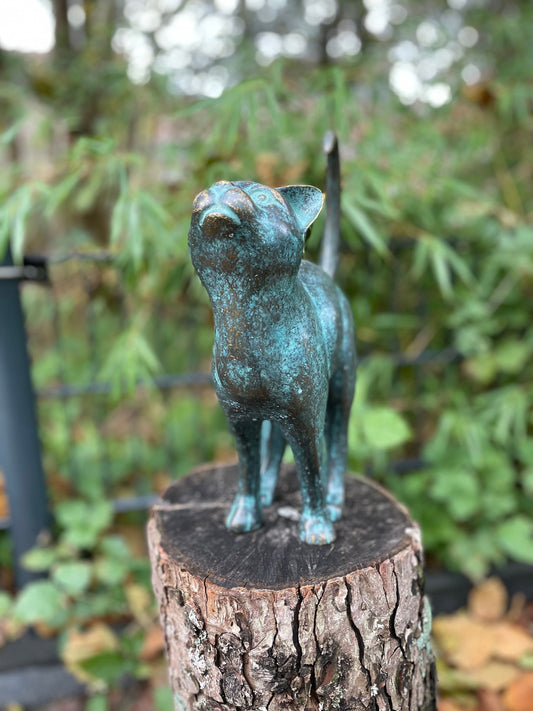 Upward Gaze Cat – Bronze Sculpture. 24x8x31cm