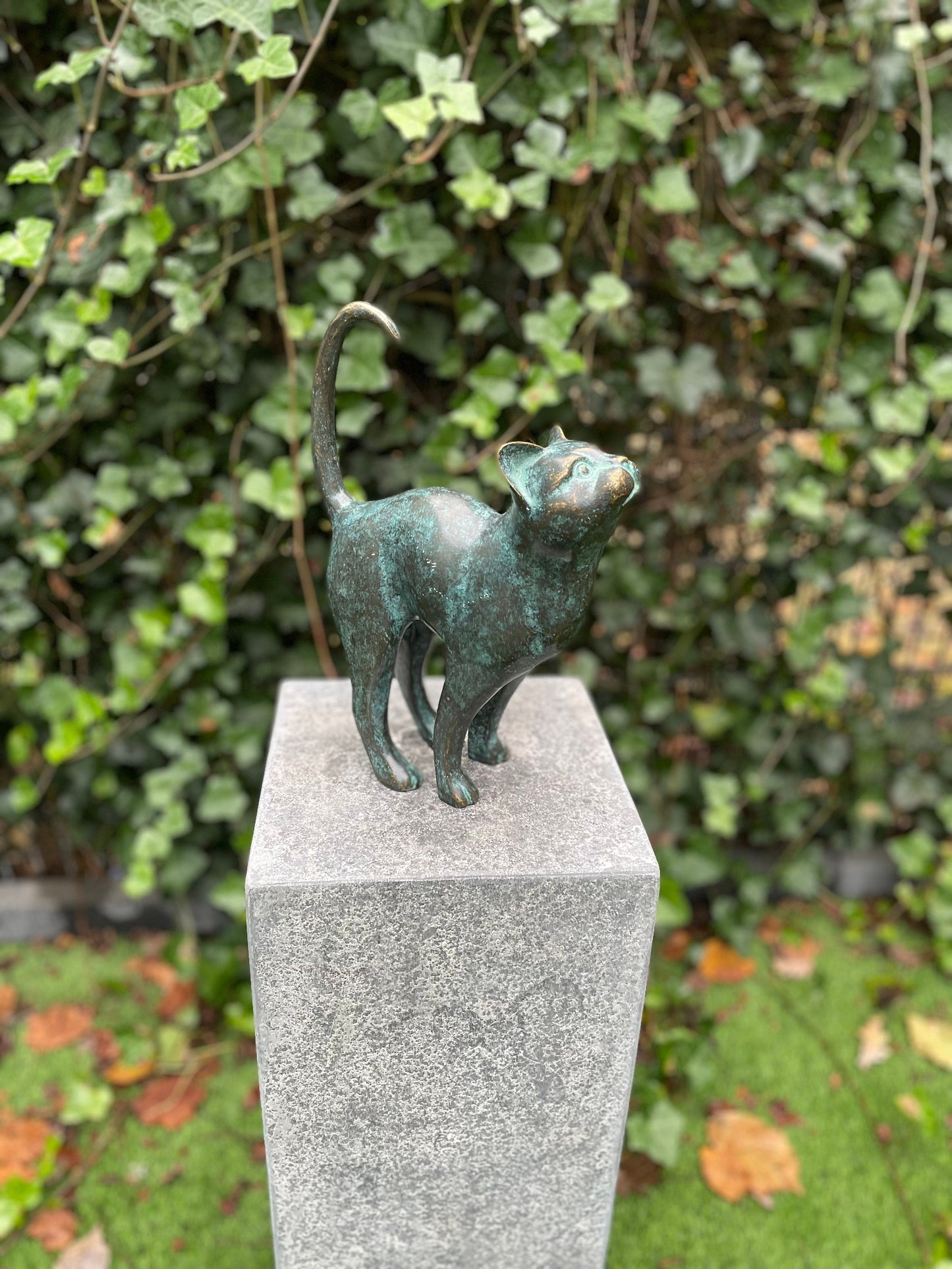 Upward Gaze Cat – Bronze Sculpture. 24x8x31cm