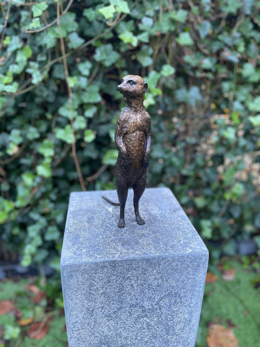 Sentinel Meerkat – Bronze Sculpture. 14x9x28cm