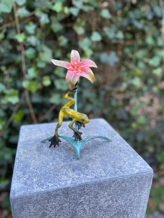 Tropical Frog and Flower – Bronze Sculpture. 13x9x20cm - 0.5Kg