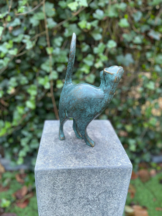 Poised Cat – Bronze Sculpture. 18x10x31cm