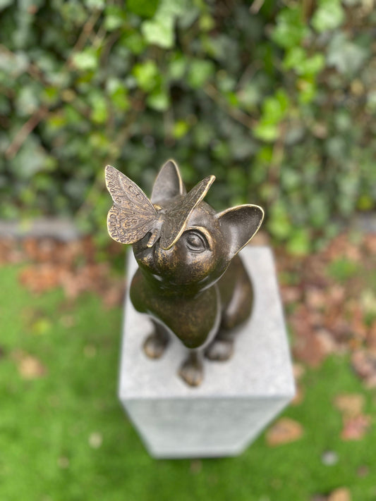 Cat with Butterfly – Bronze Sculpture. 25x16x38cm