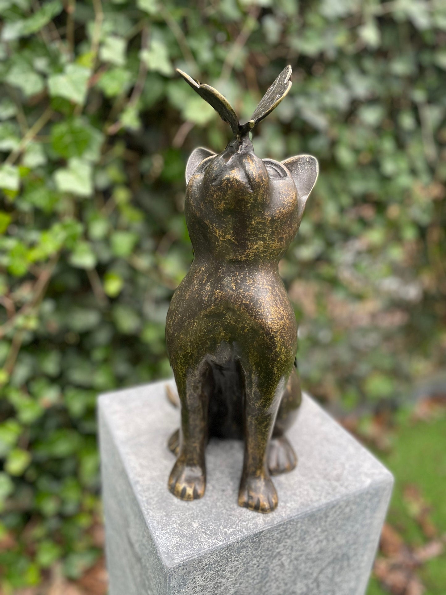 Cat with Butterfly – Bronze Sculpture. 25x16x38cm