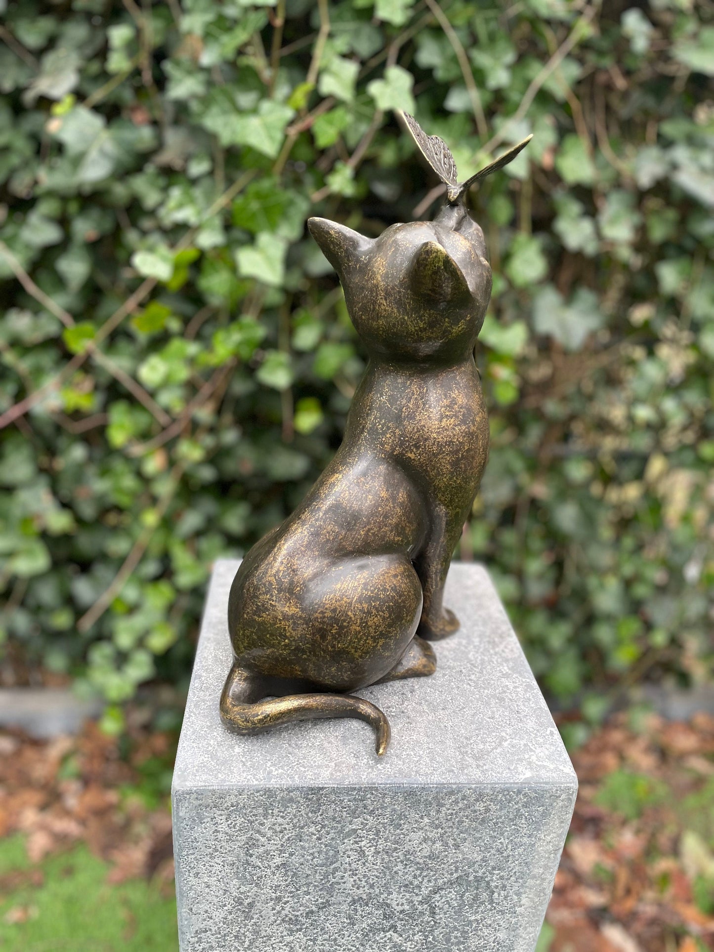 Cat with Butterfly – Bronze Sculpture. 25x16x38cm