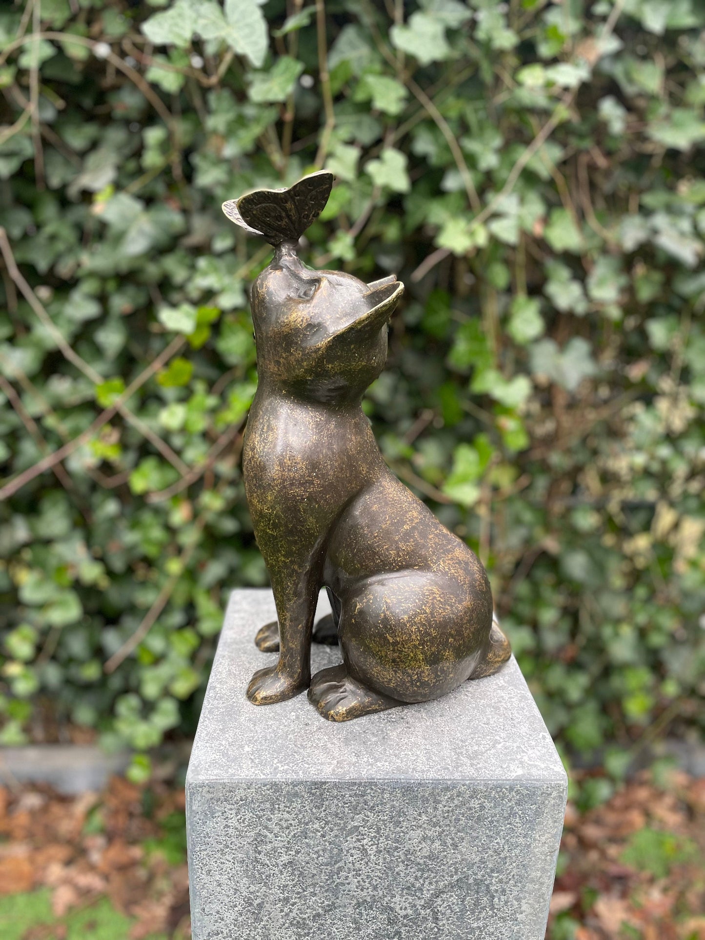 Cat with Butterfly – Bronze Sculpture. 25x16x38cm