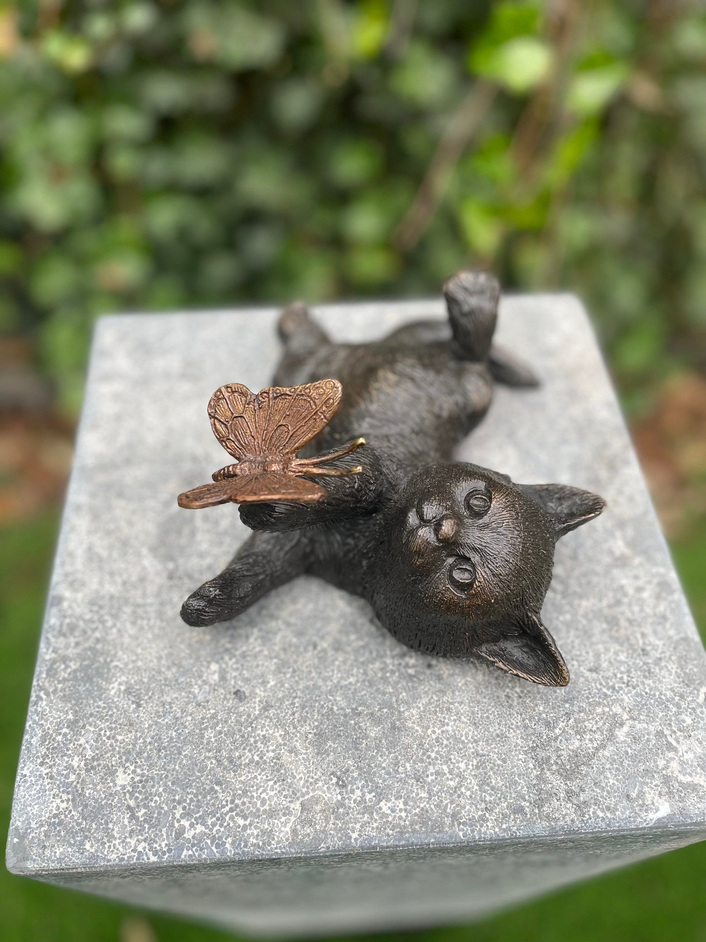 Playful Kitten – Bronze Sculpture. 11x16x22cm - 1.2Kg