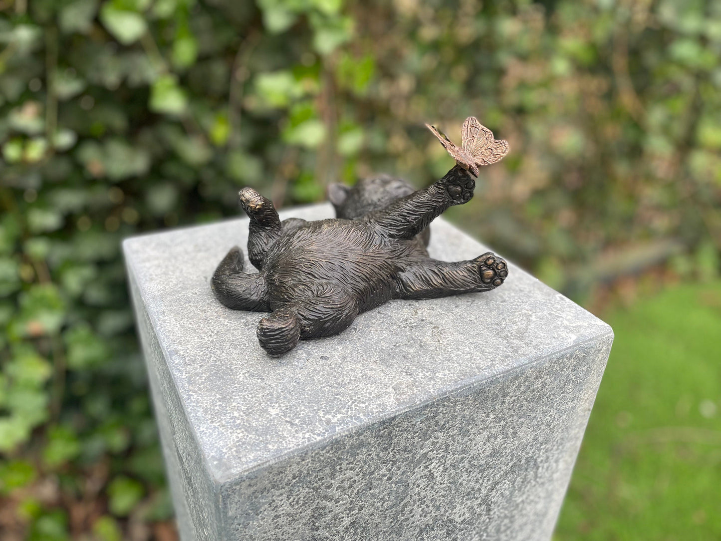 Playful Kitten – Bronze Sculpture. 11x16x22cm - 1.2Kg