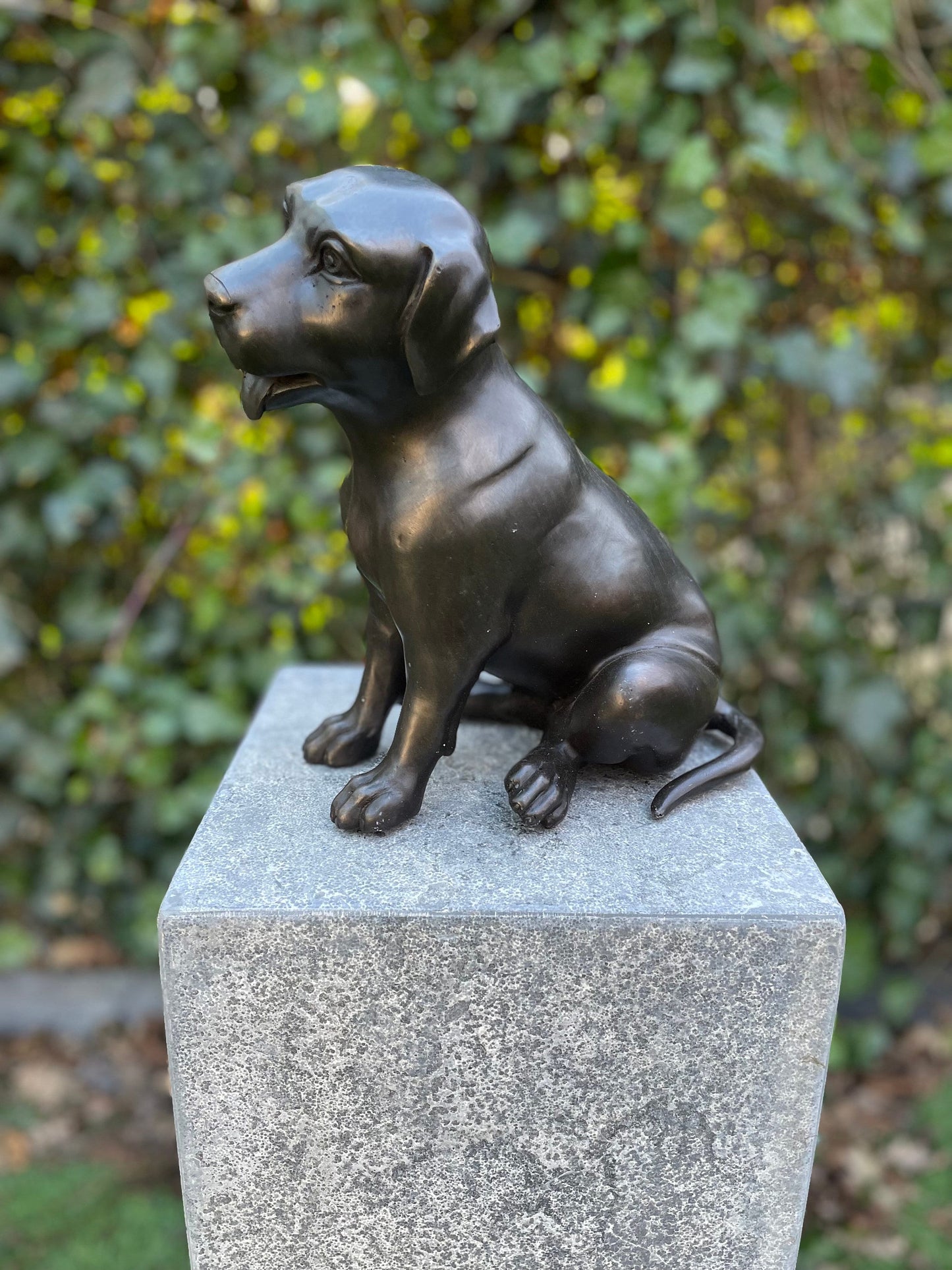 Faithful Labrador – Bronze Sculpture. 24x15x22cm - 2.7Kg