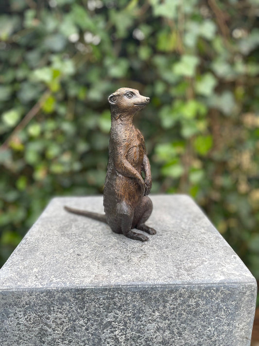 Alert Meerkat – Bronze Sculpture. 17x6x18cm