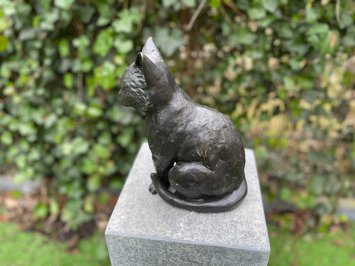 Sitting Cat – Bronze Sculpture. 19x12x27cm - 2Kg