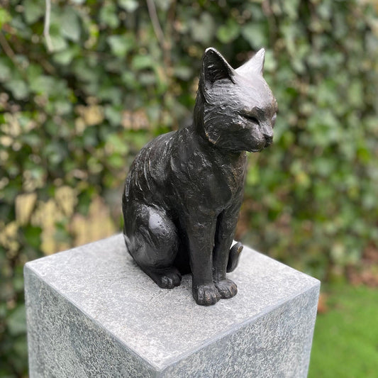 Sitting Cat – Bronze Sculpture. 19x12x27cm - 2Kg