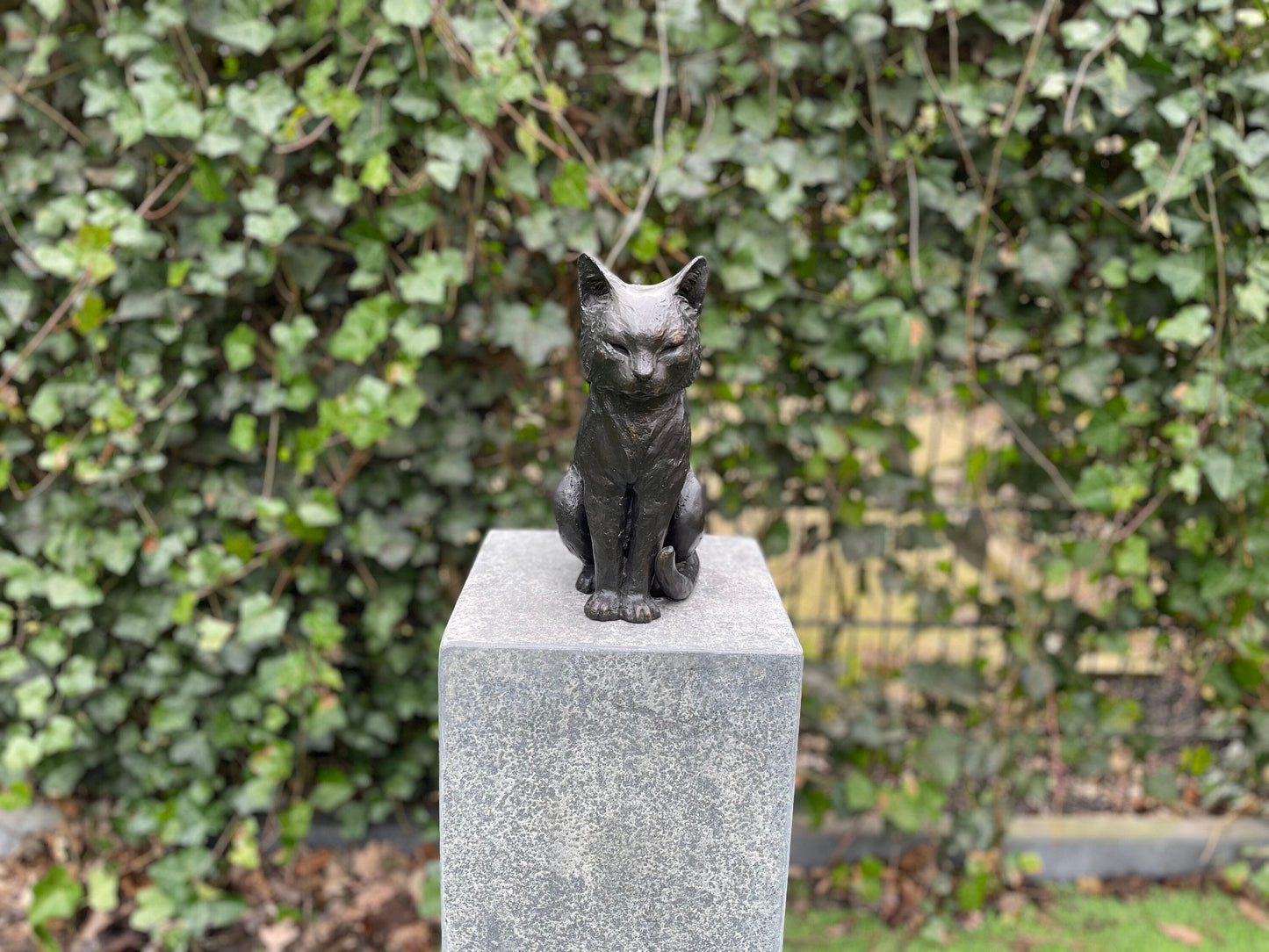 Sitting Cat – Bronze Sculpture. 19x12x27cm - 2Kg