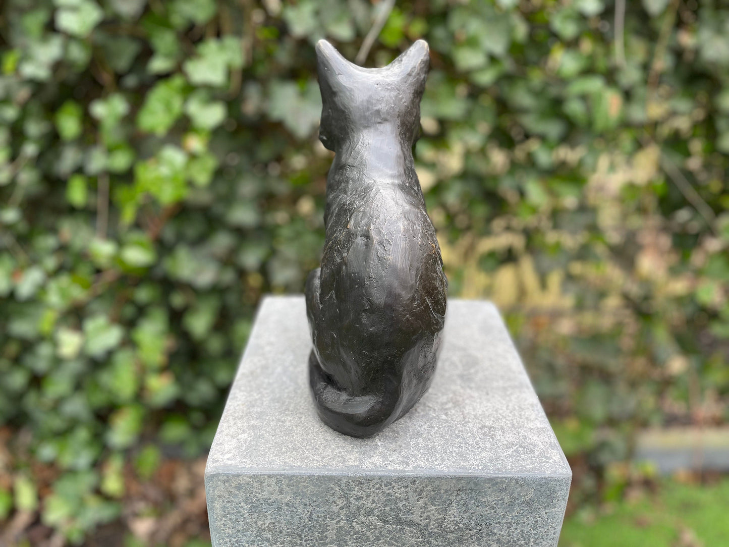 Sitting Cat – Bronze Sculpture. 19x12x27cm - 2Kg