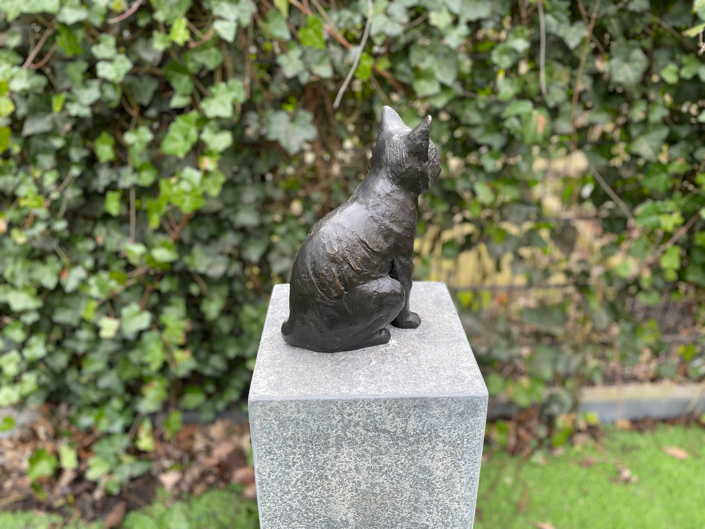 Sitting Cat – Bronze Sculpture. 19x12x27cm - 2Kg