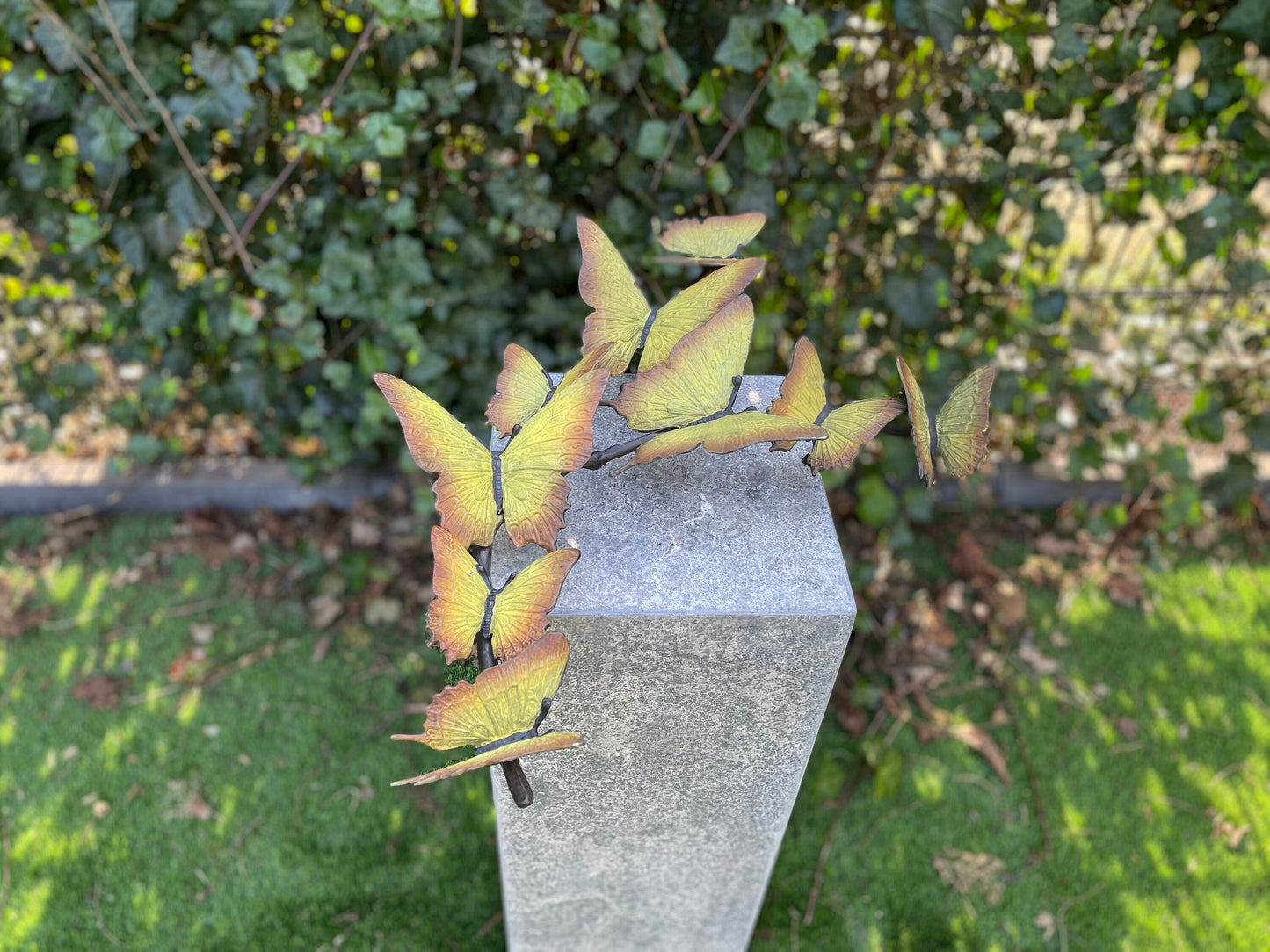 Butterfly Dance – Bronze Sculpture. 38x11x50cm - 2.6Kg