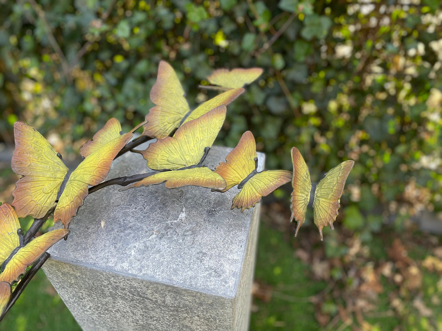 Butterfly Dance – Bronze Sculpture. 38x11x50cm - 2.6Kg