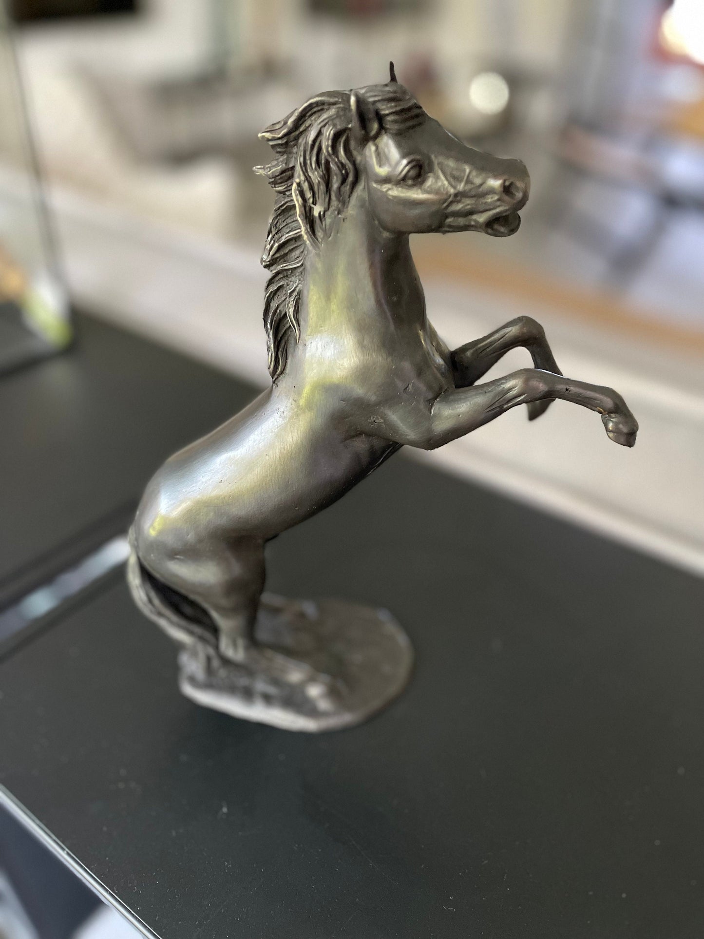 Wild Spirit – Bronze Sculpture. 19x6x24cm - 1Kg
