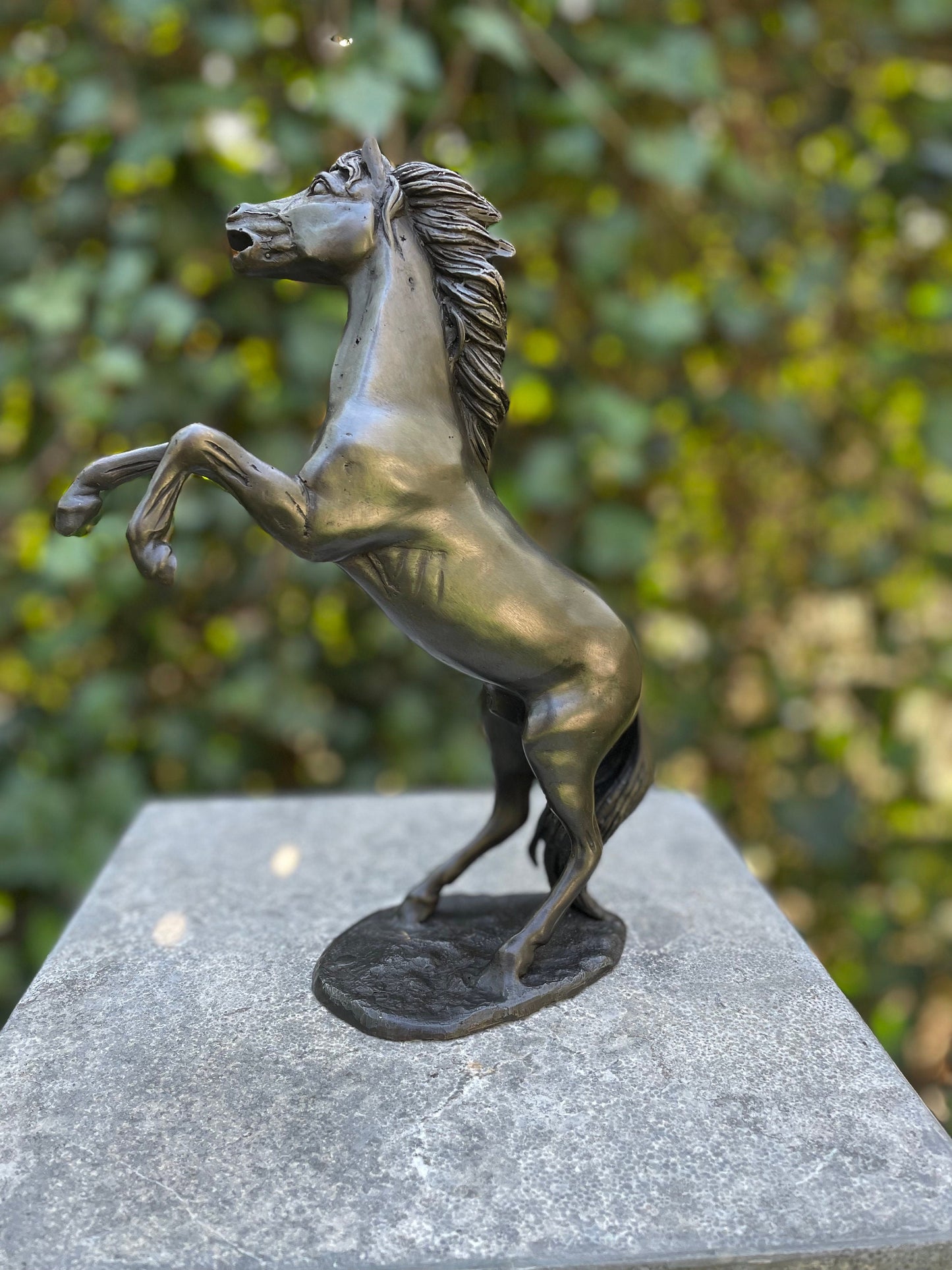 Wild Spirit – Bronze Sculpture. 19x6x24cm - 1Kg