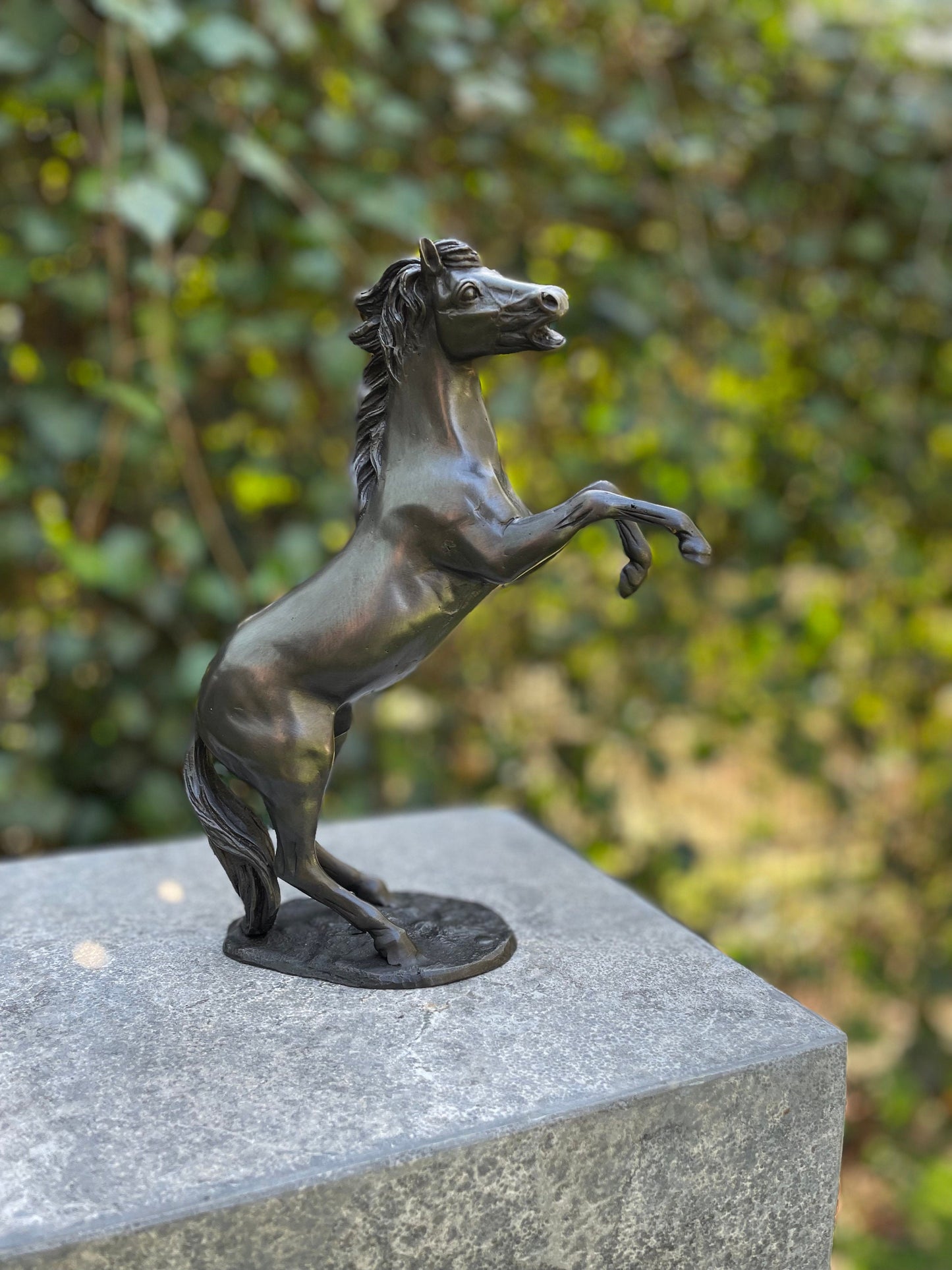 Wild Spirit – Bronze Sculpture. 19x6x24cm - 1Kg