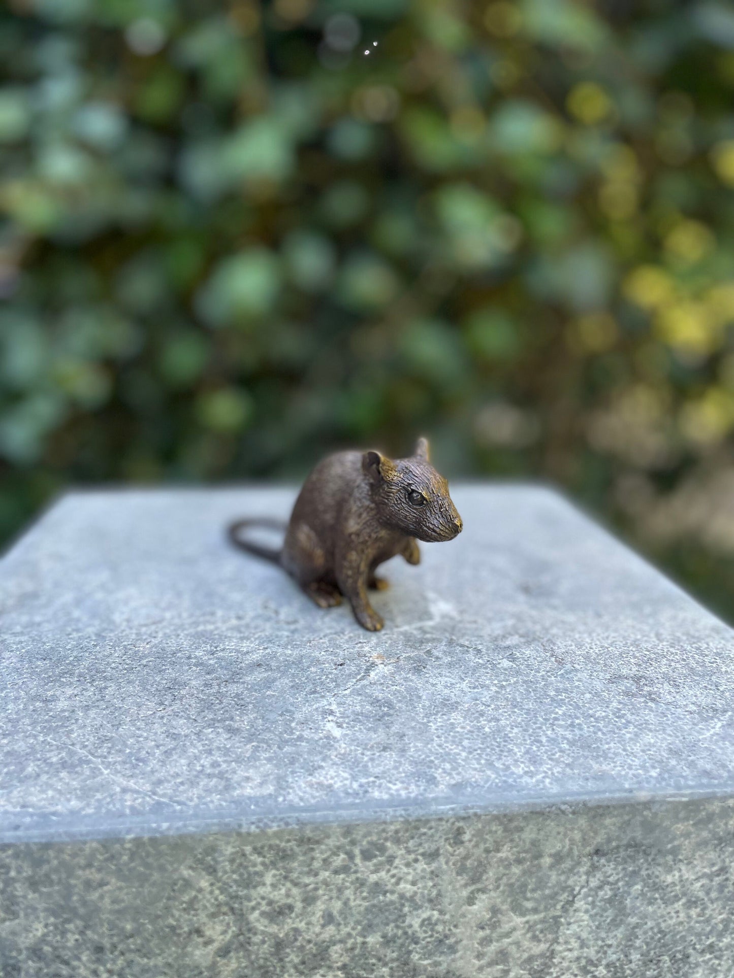 Little Mouse – Bronze Sculpture. 13x4x6cm - 0.2Kg