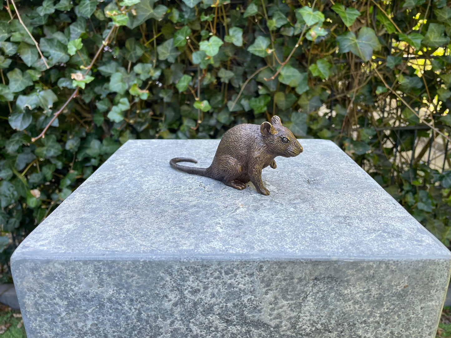 Little Mouse – Bronze Sculpture. 13x4x6cm - 0.2Kg
