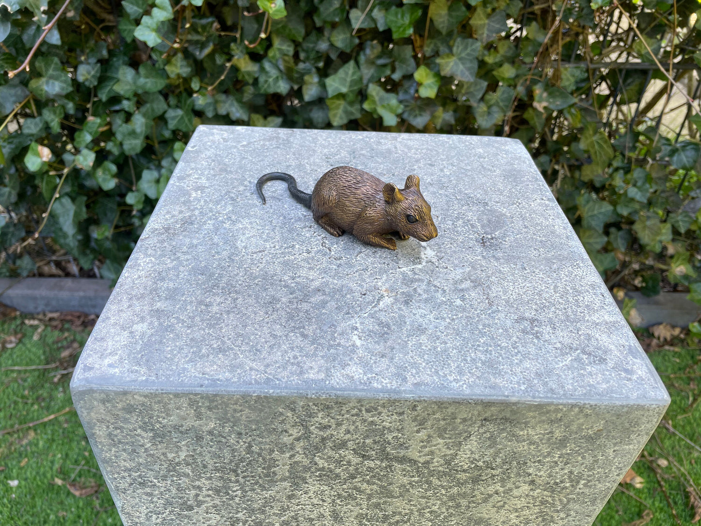 Little Mouse – Bronze Sculpture. 13x4x6cm - 0.2Kg