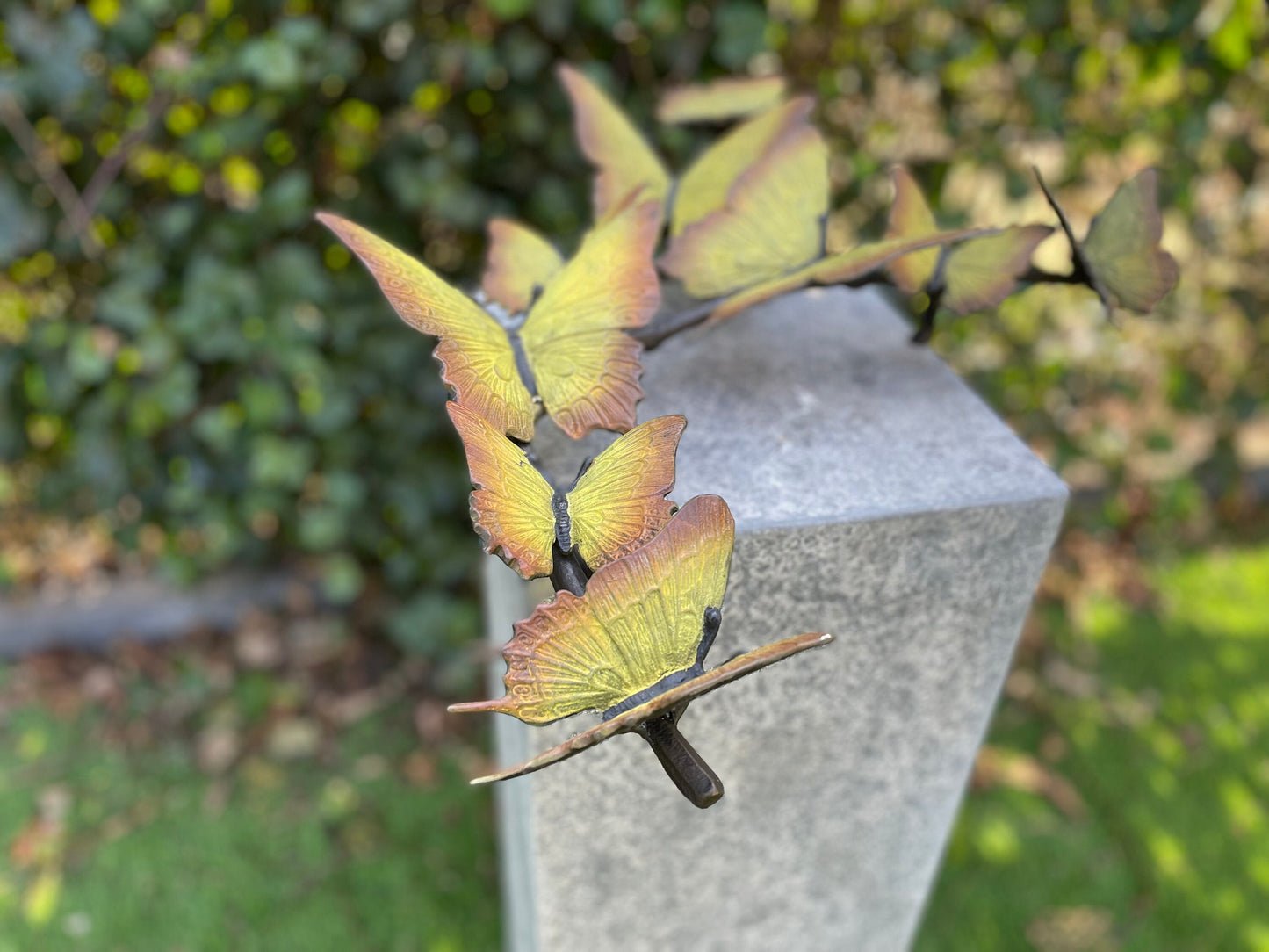 Butterfly Dance – Bronze Sculpture. 38x11x50cm - 2.6Kg