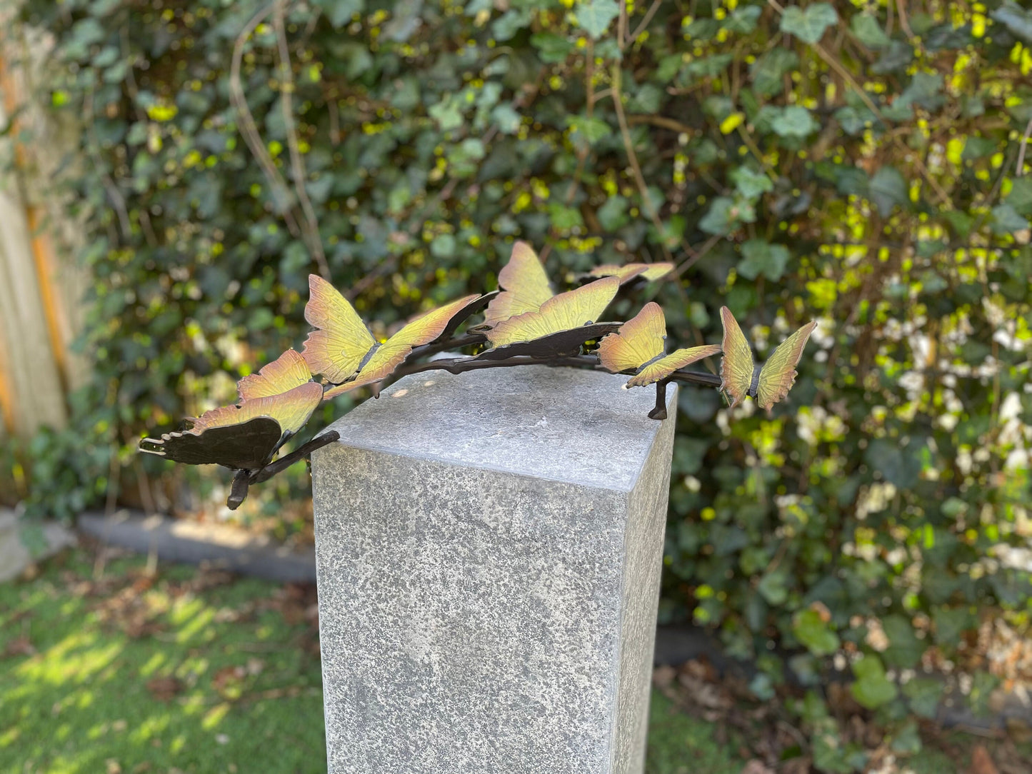 Butterfly Dance – Bronze Sculpture. 38x11x50cm - 2.6Kg