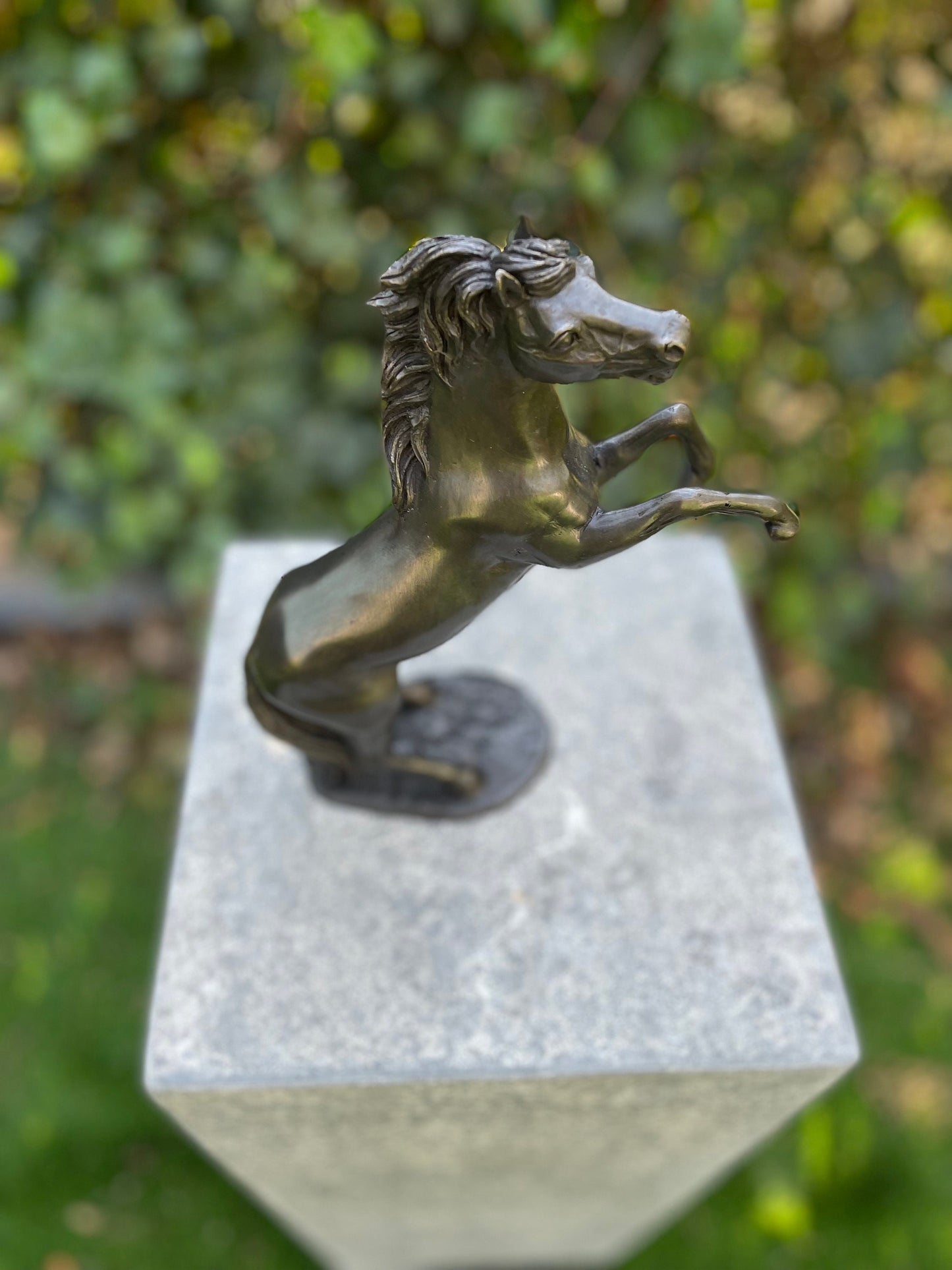 Wild Spirit – Bronze Sculpture. 19x6x24cm - 1Kg