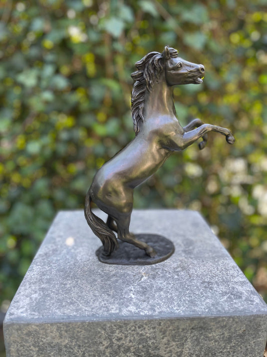Wild Spirit – Bronze Sculpture. 19x6x24cm - 1Kg