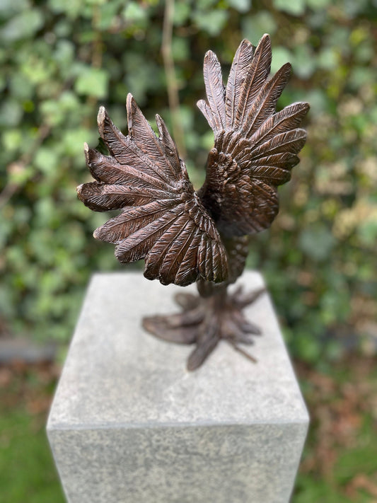 Majestic Owl in Flight – Bronze Sculpture. 19x23x30cm - 3Kg