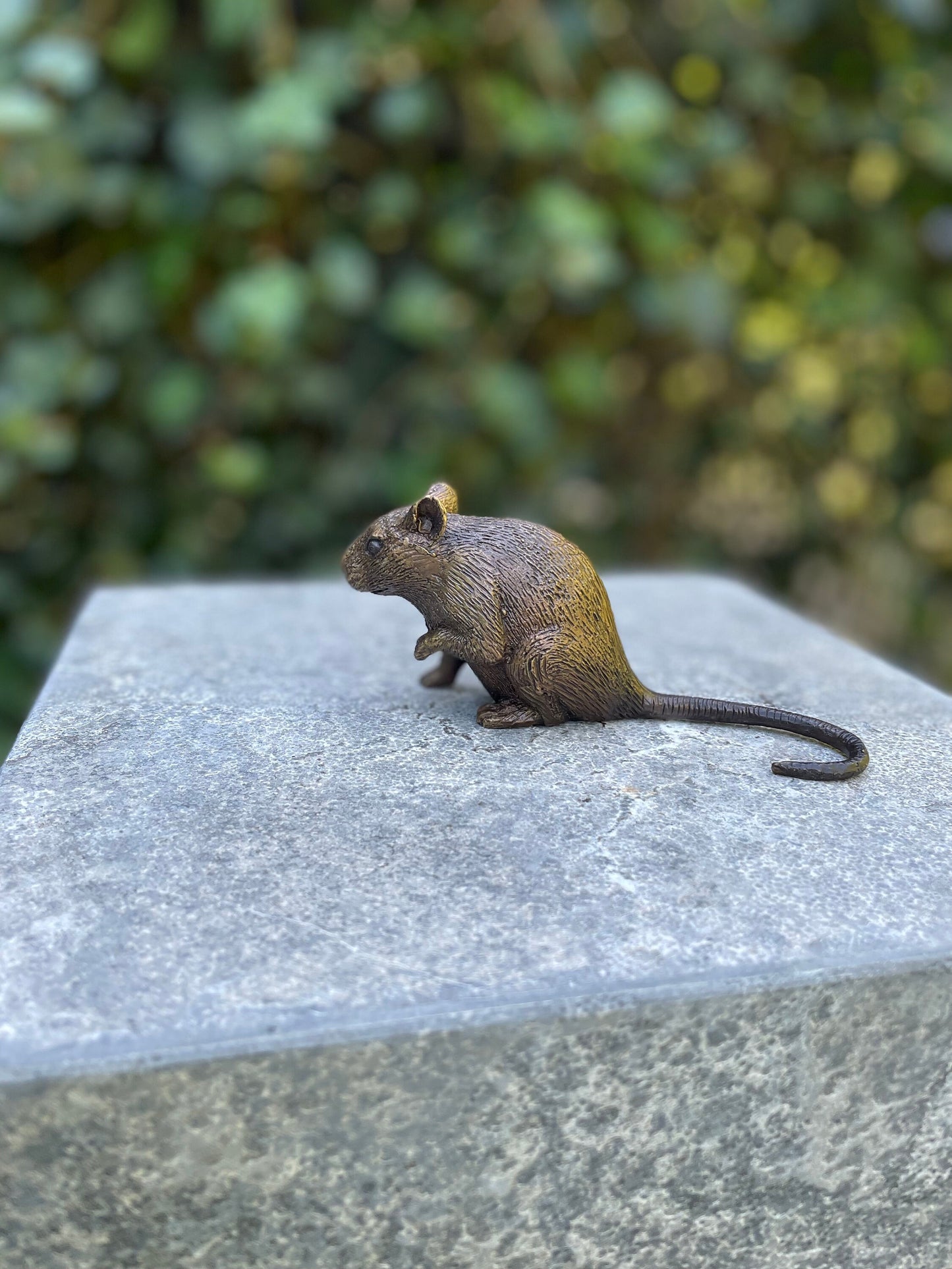 Little Mouse – Bronze Sculpture. 13x4x6cm - 0.2Kg