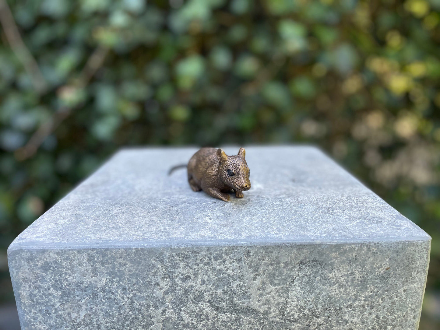 Little Mouse – Bronze Sculpture. 13x4x6cm - 0.2Kg