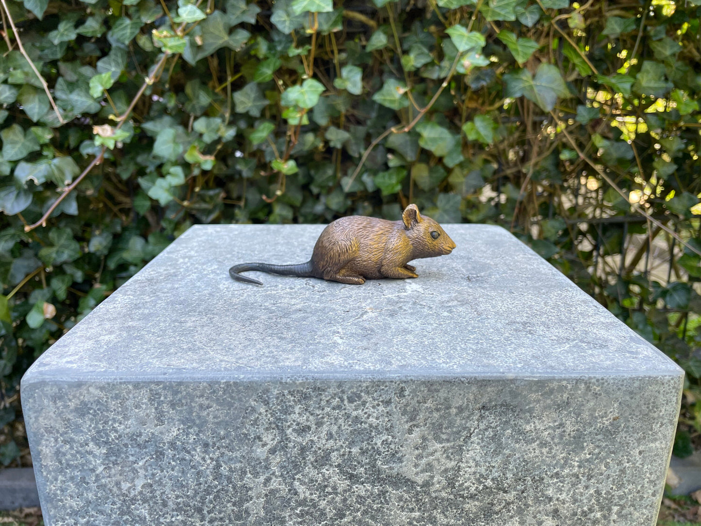 Little Mouse – Bronze Sculpture. 13x4x6cm - 0.2Kg