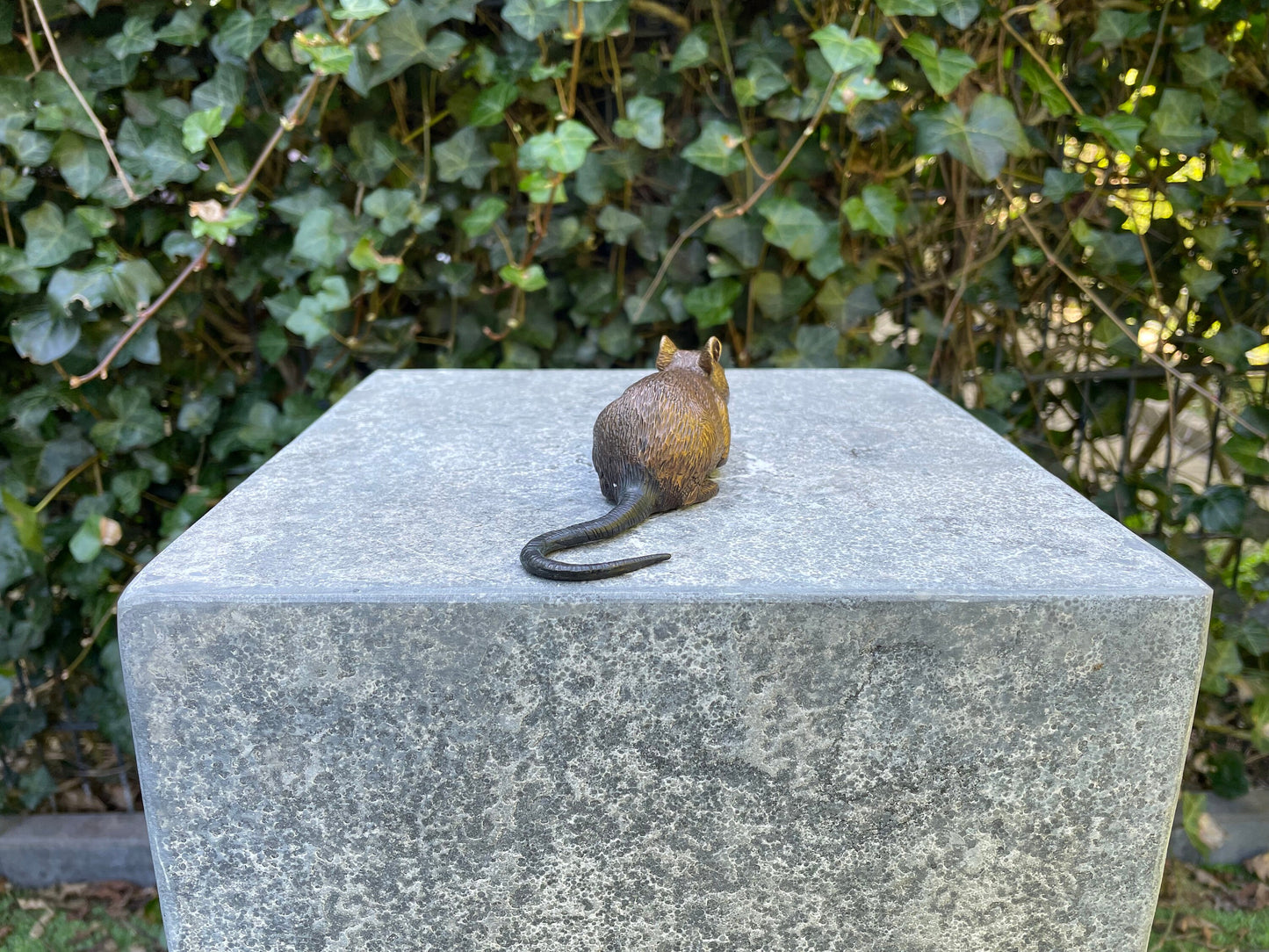 Little Mouse – Bronze Sculpture. 13x4x6cm - 0.2Kg