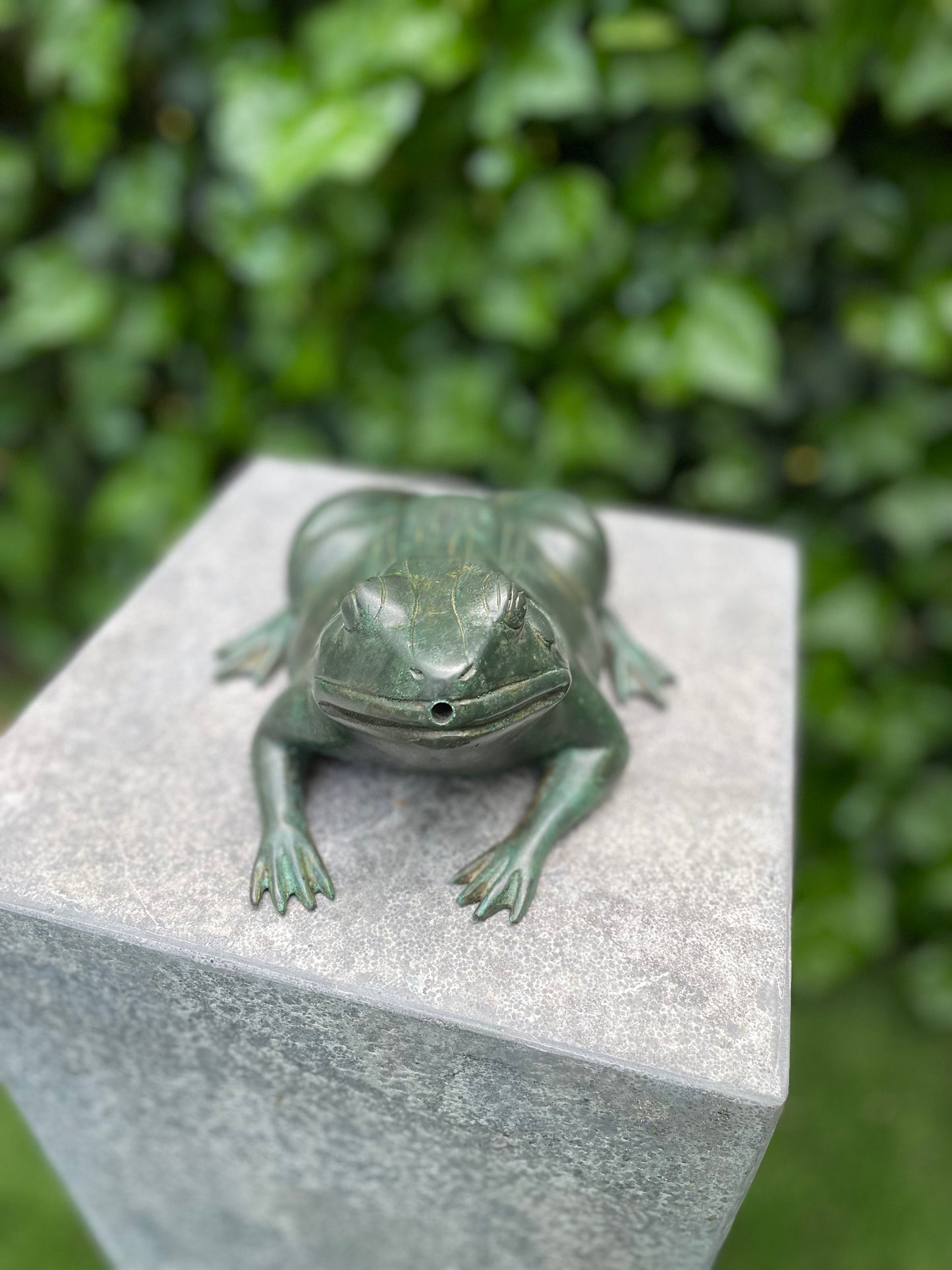 Frog Fountain – Bronze Sculpture. 20x16x9cm - 1.3Kg