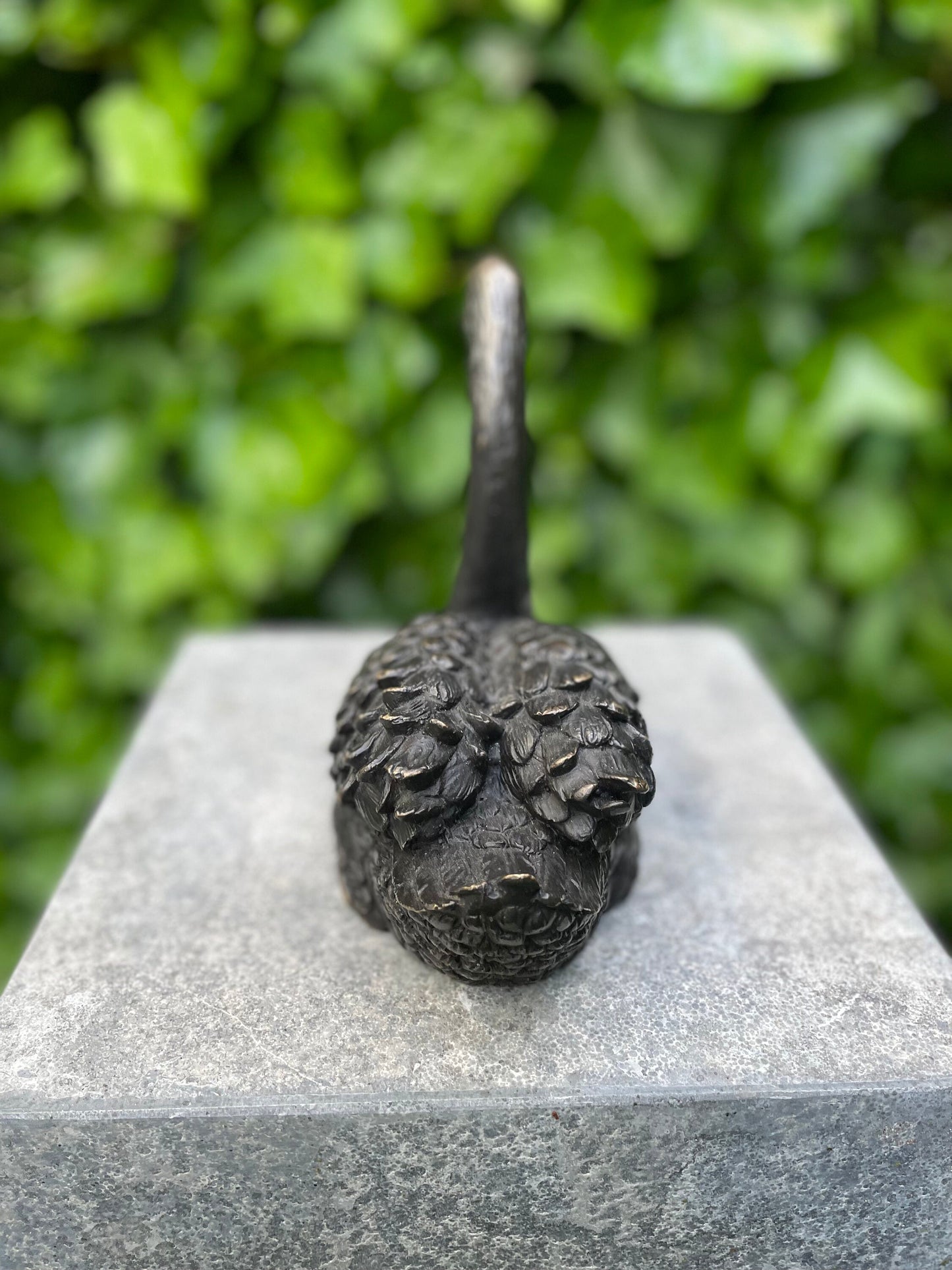 Resting Swan – Bronze Sculpture. 22x9x16cm - 1.2Kg