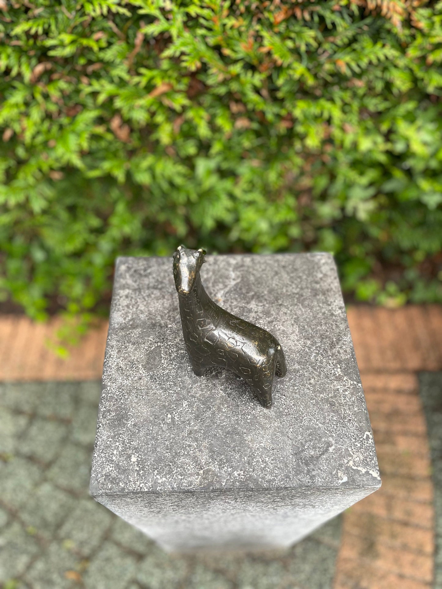 Curious Giraffe – Bronze Sculpture. 9x5x27cm - 1Kg