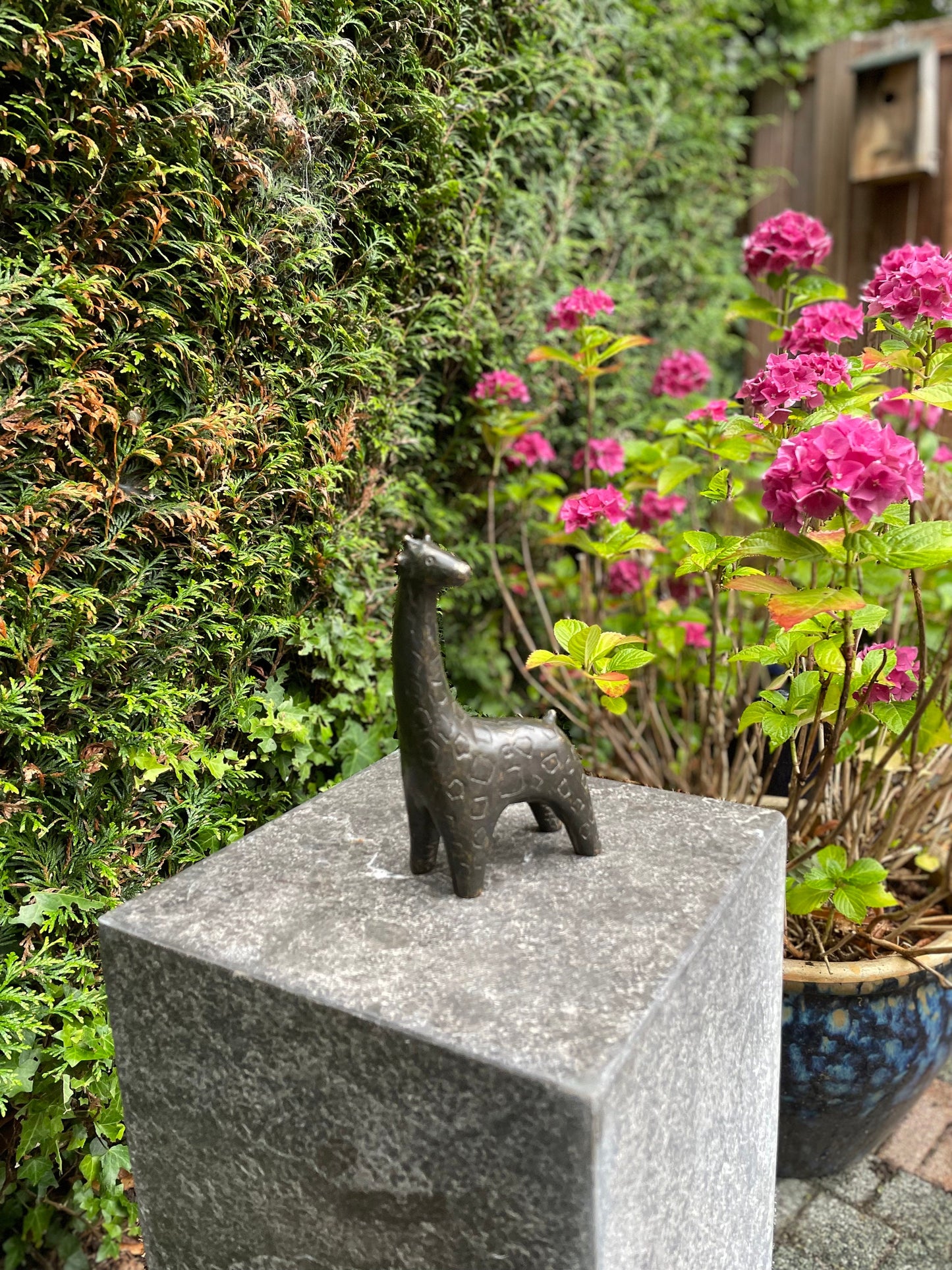 Curious Giraffe – Bronze Sculpture. 9x5x27cm - 1Kg