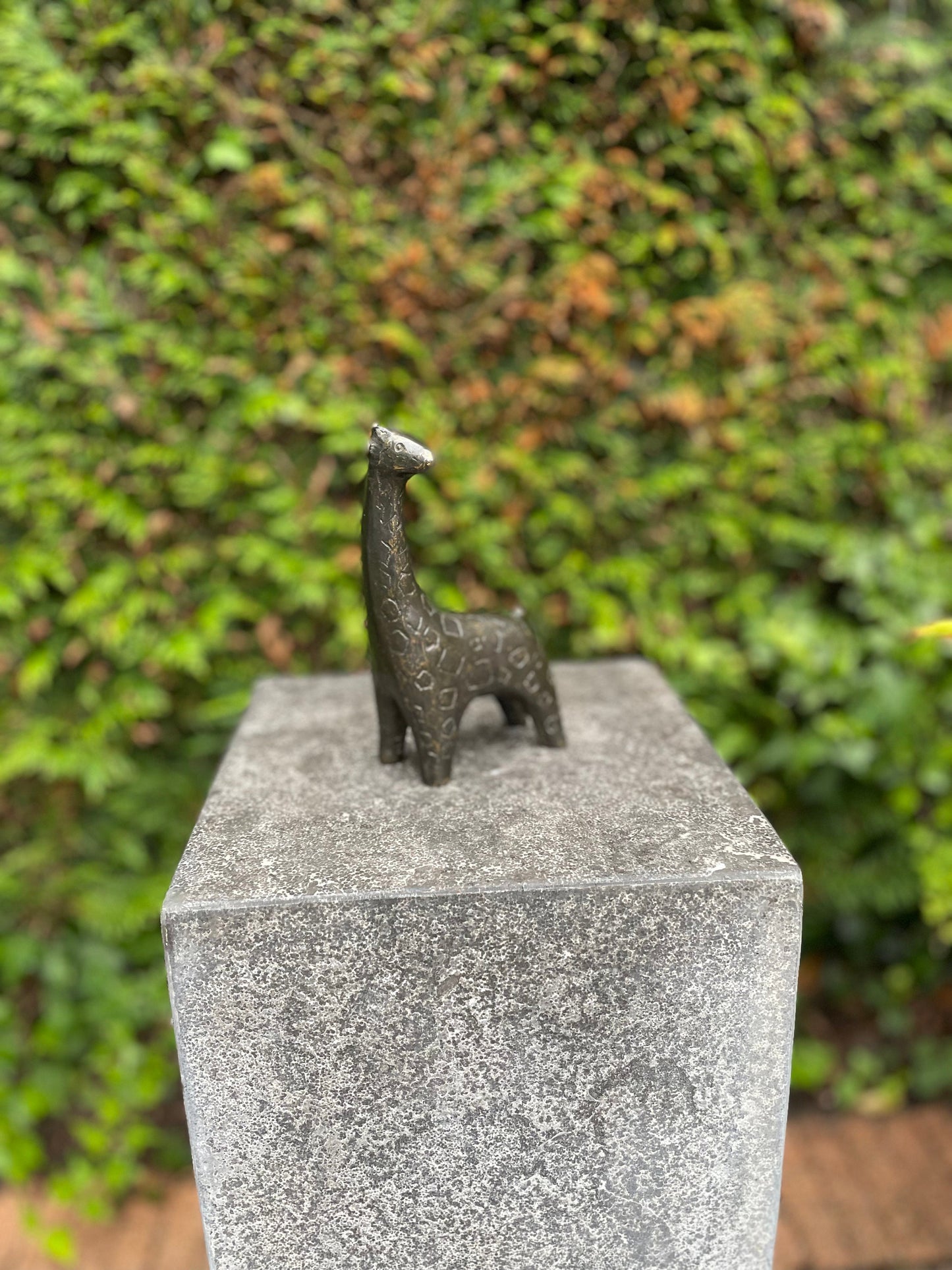 Curious Giraffe – Bronze Sculpture. 9x5x27cm - 1Kg