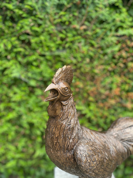 Morning Call Rooster – Bronze Sculpture. 53x25x50cm - 5.9Kg