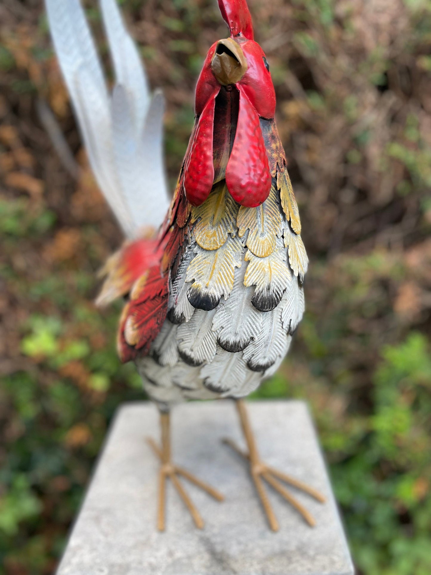 Colorful Rooster – Iron Sculpture. 32x16x52cm - 0.4Kg