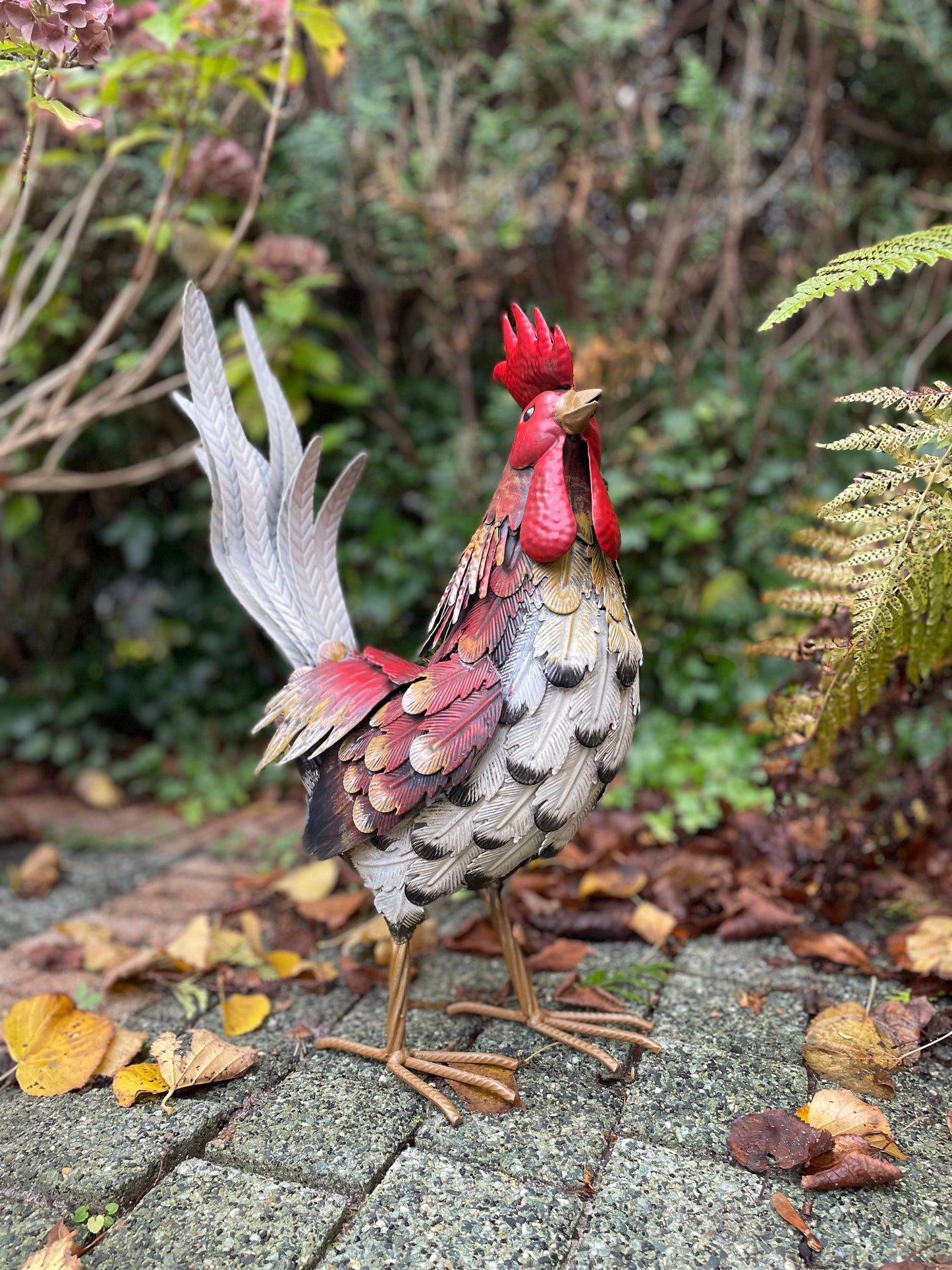 Colorful Rooster – Iron Sculpture. 32x16x52cm - 0.4Kg
