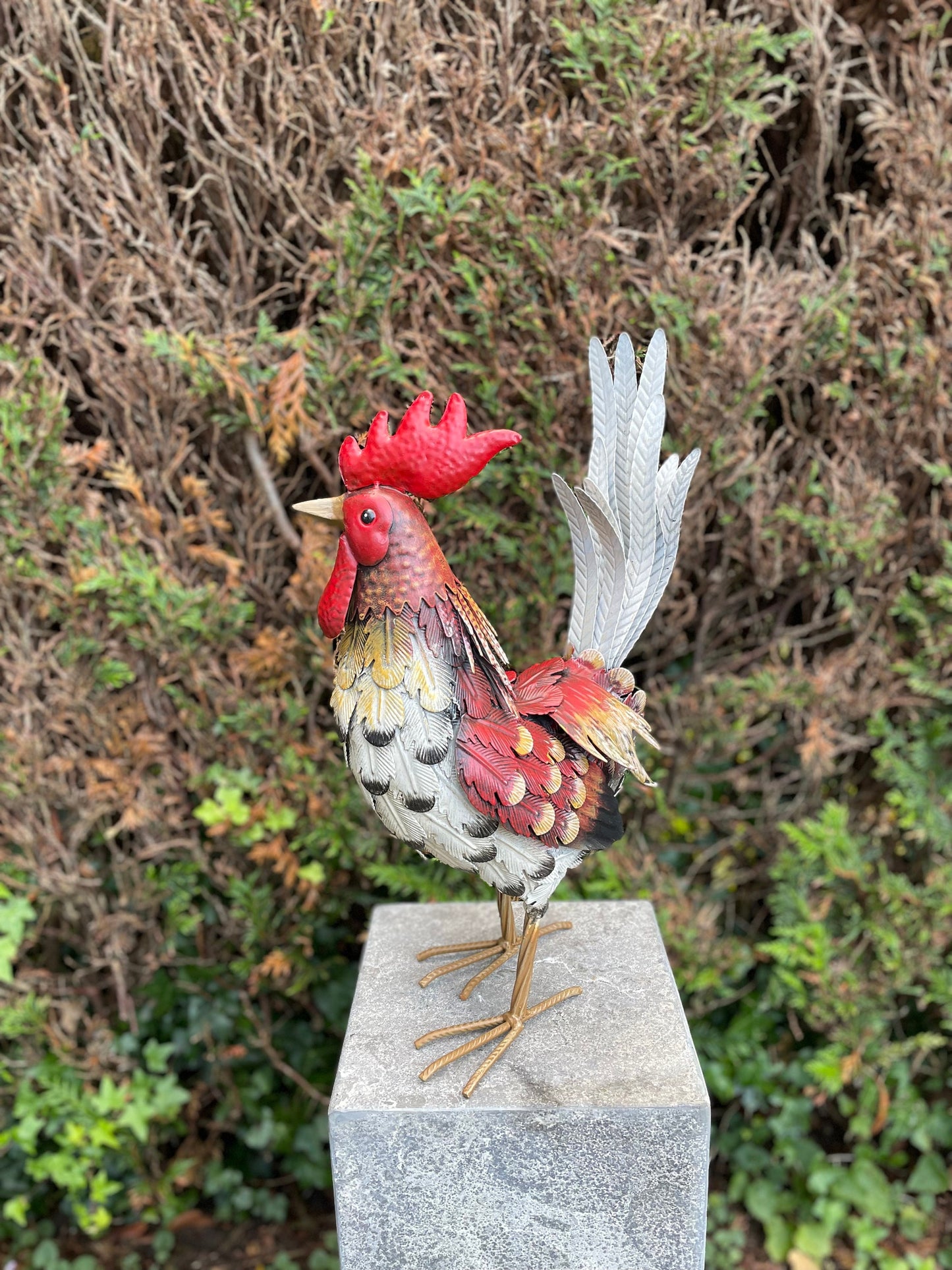 Colorful Rooster – Iron Sculpture. 32x16x52cm - 0.4Kg