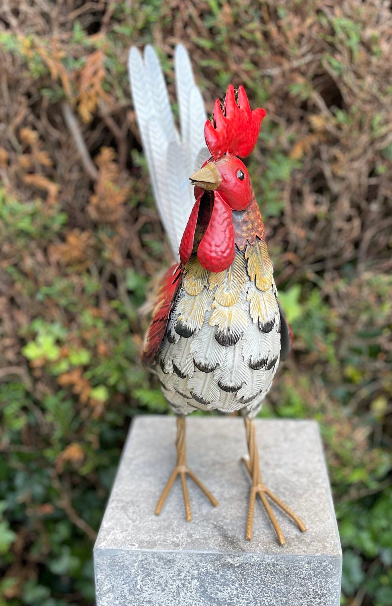 Colorful Rooster – Iron Sculpture. 32x16x52cm - 0.4Kg