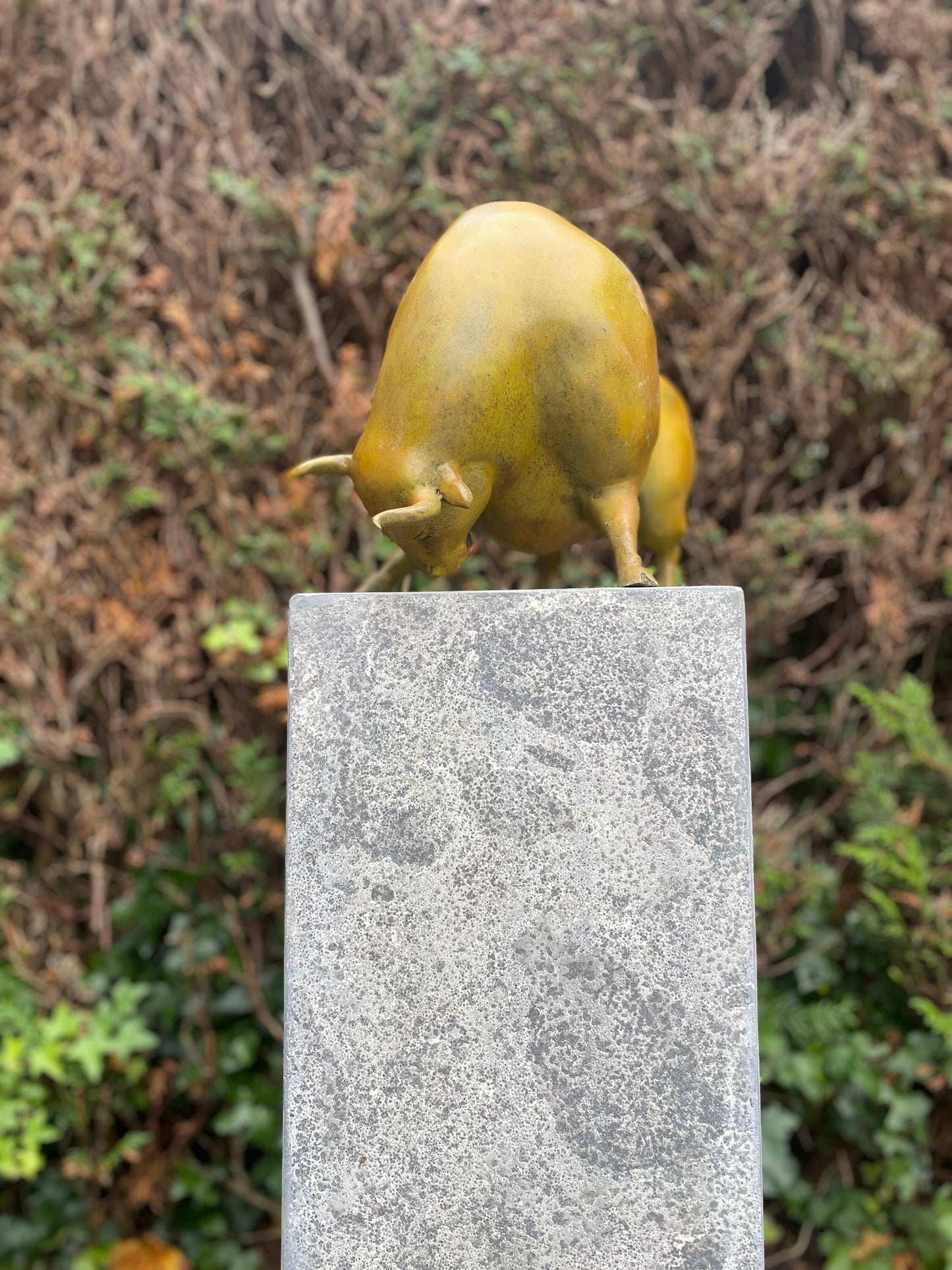 Golden Bull Pose – Bronze Sculpture. 38x20x27cm - 6Kg