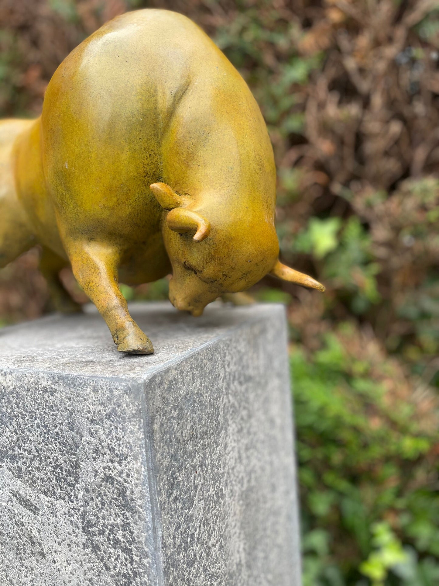 Golden Bull Pose – Bronze Sculpture. 38x20x27cm - 6Kg